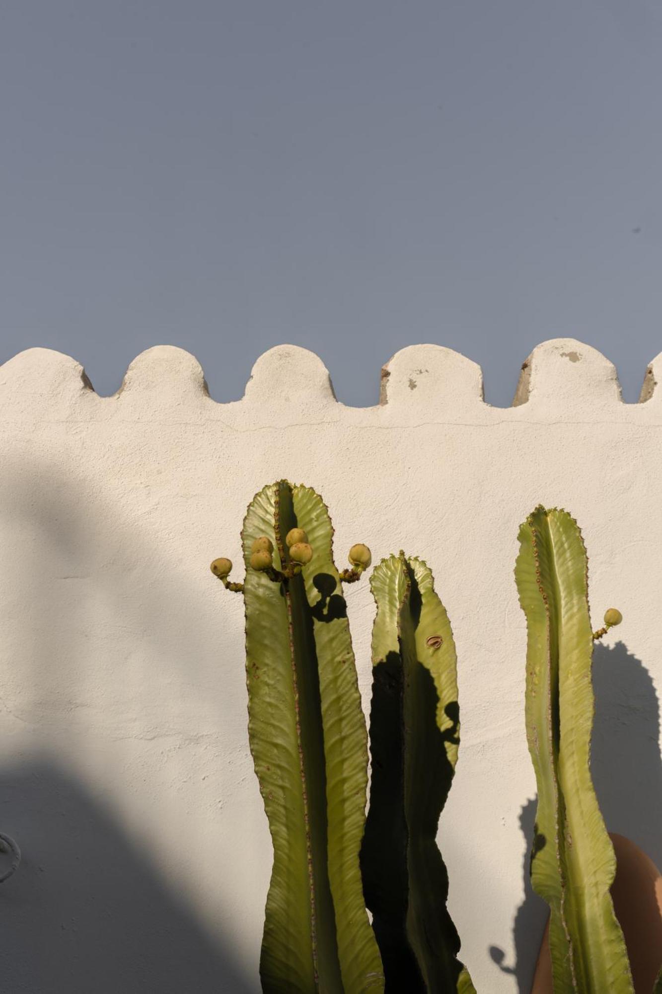 Casa Uva - Boutique Guest House Vejer de la Frontera Exterior foto